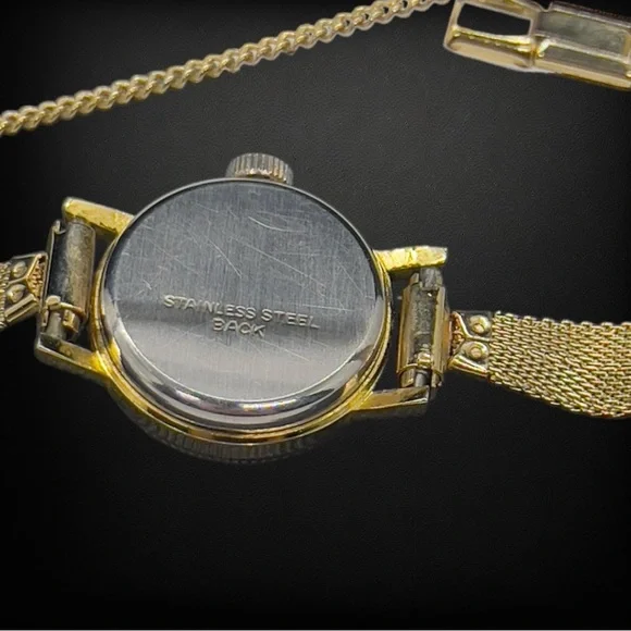 Vintage Brichot 17 Jewel Swiss Manuel Wind Watch & Gold Mesh Band